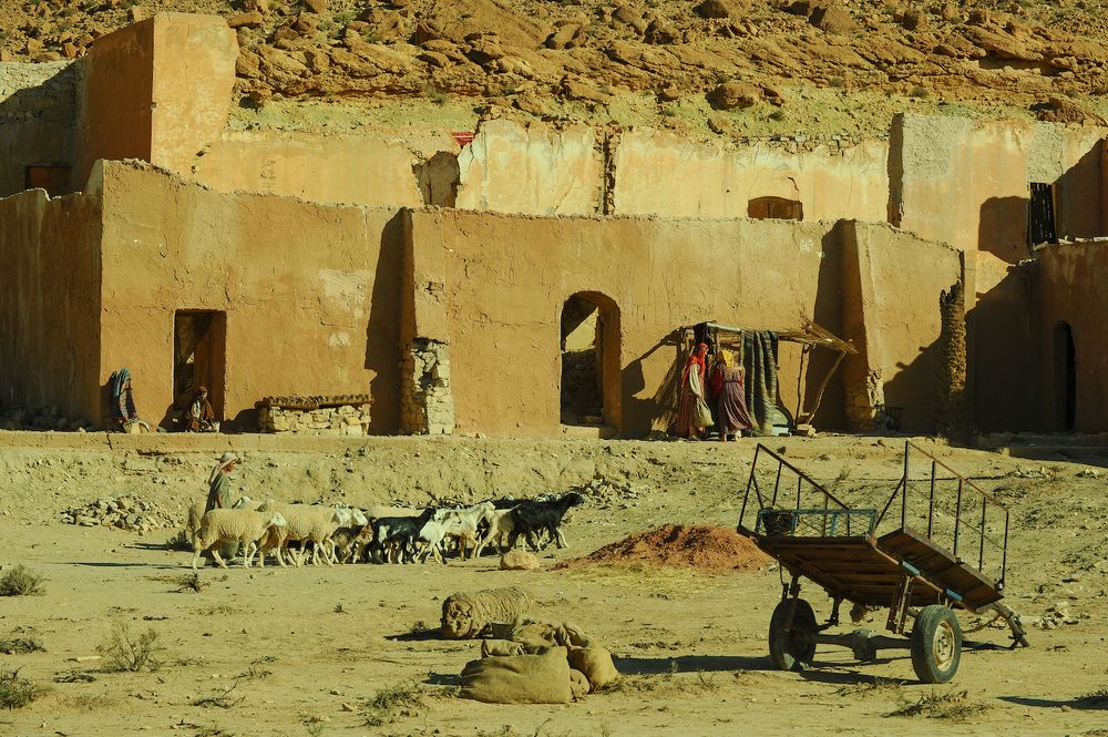 Photograph by Kaouche Mohamed