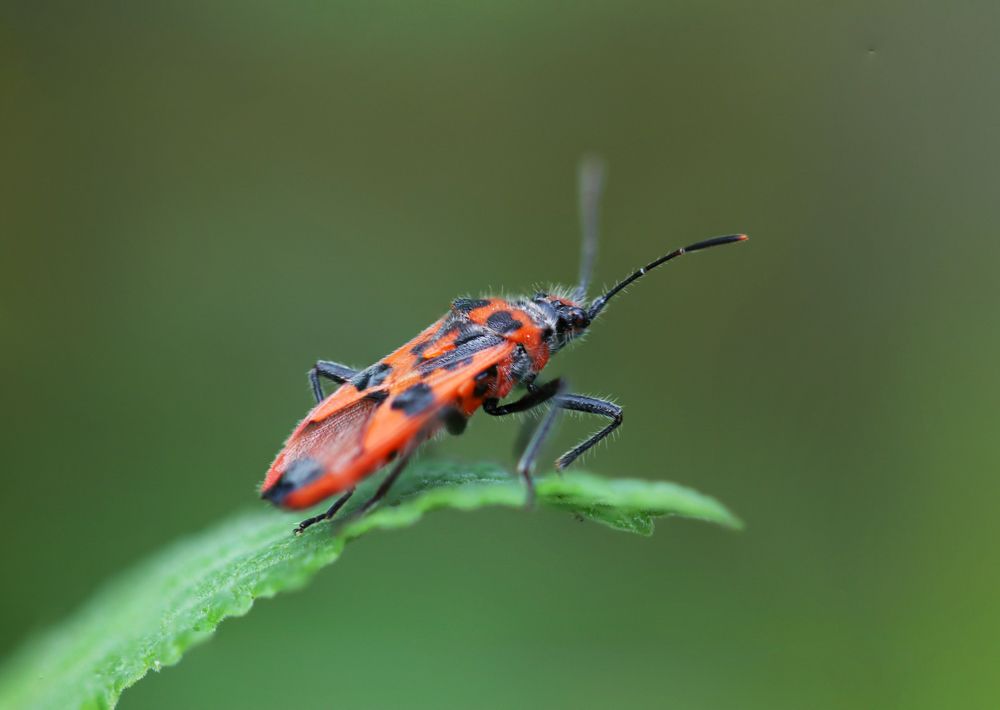 Photograph by Светлана Попкова