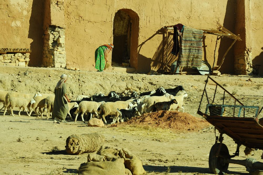 Photograph by Kaouche Mohamed