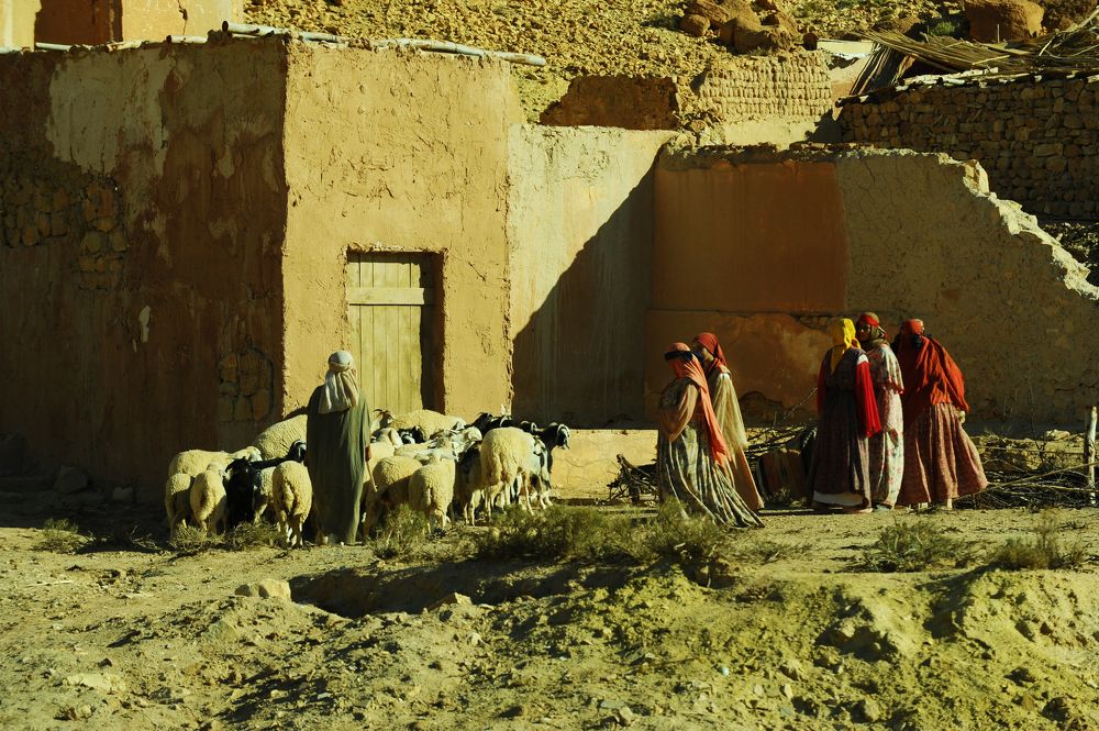 Photograph by Kaouche Mohamed