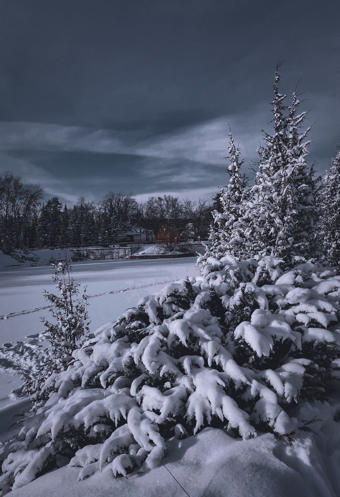 Photograph by Галина Банникова