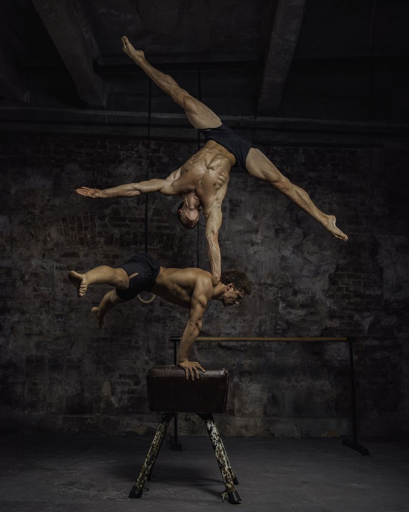 Звезд не касались