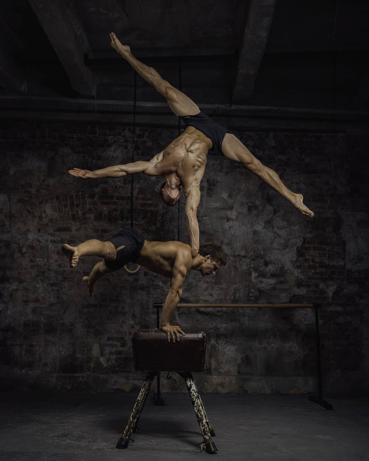 Звезд не касались