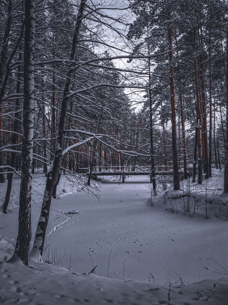 Photograph by Галина Банникова