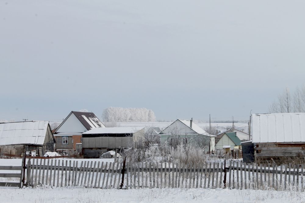 Photograph by Алия Кутлова