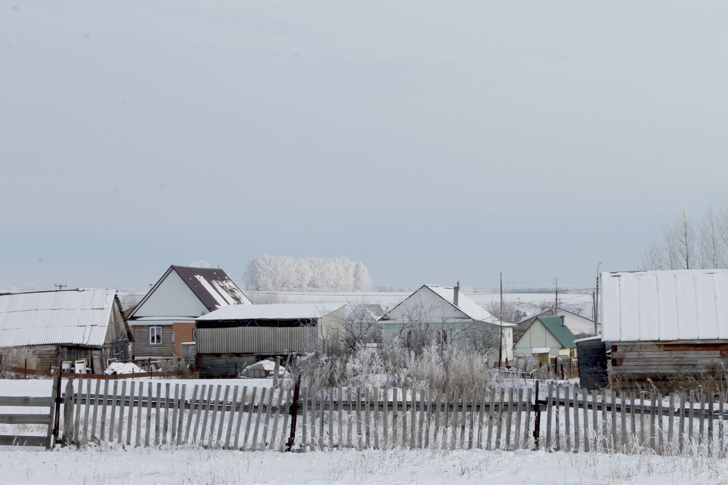 Photo #10140282