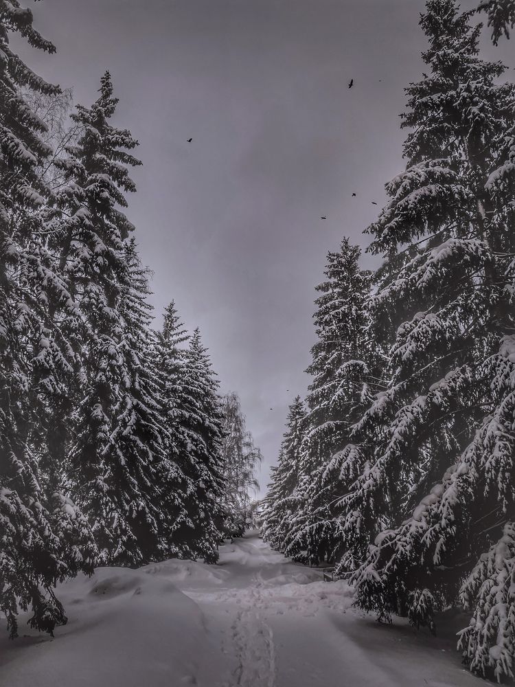 Photograph by Галина Банникова