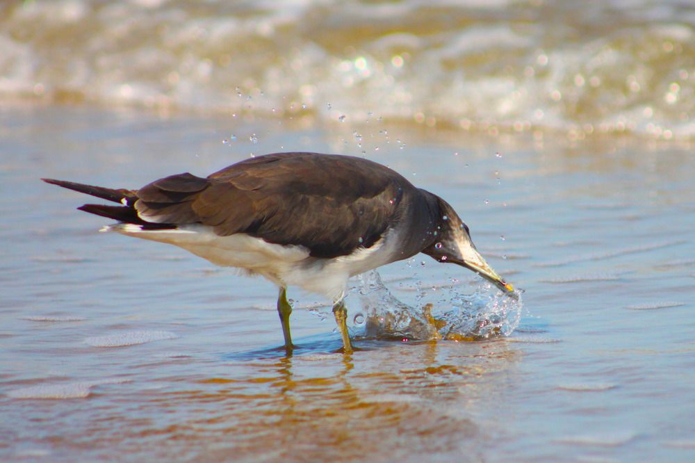 Photograph by sarah ghaz