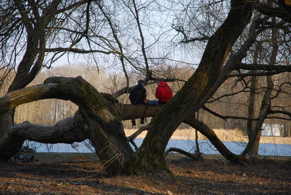 Photograph by Андрей Старовойтов