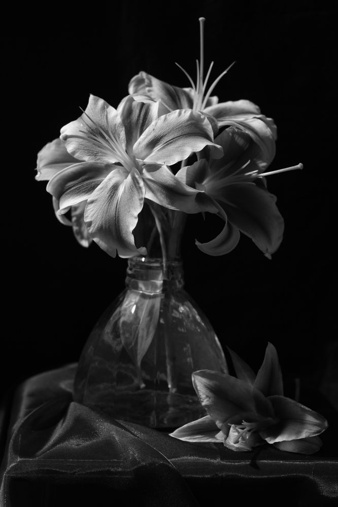 Photograph by Лада Кляузина