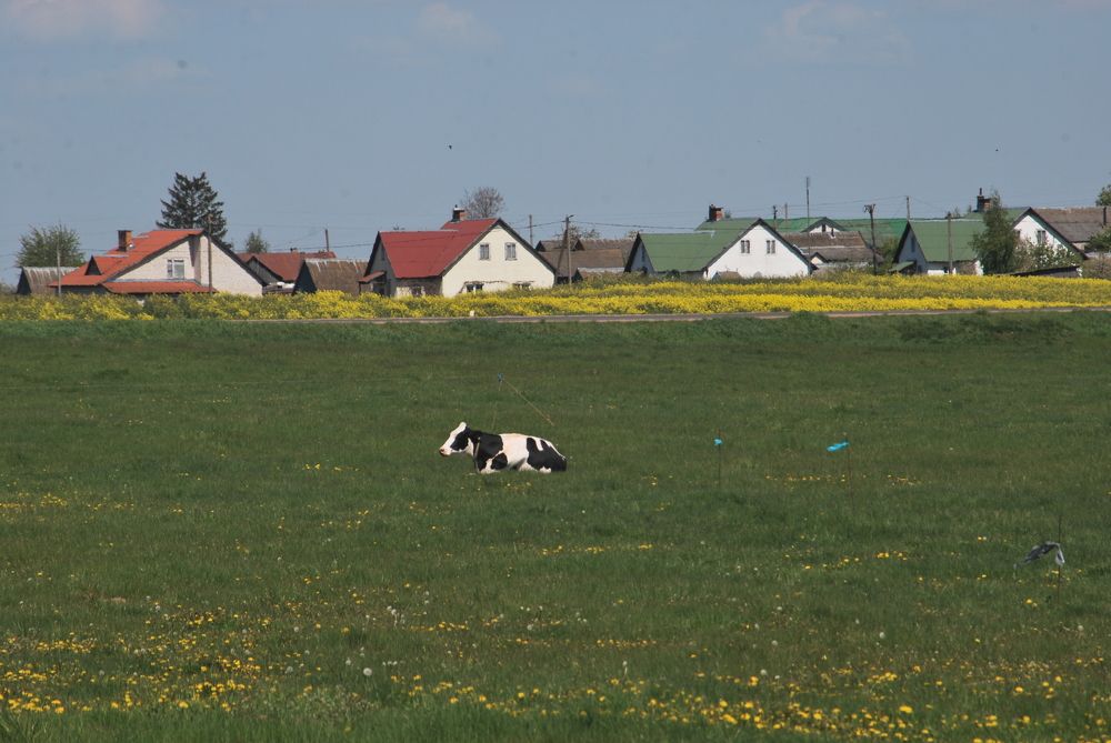 Photograph by Андрей Старовойтов