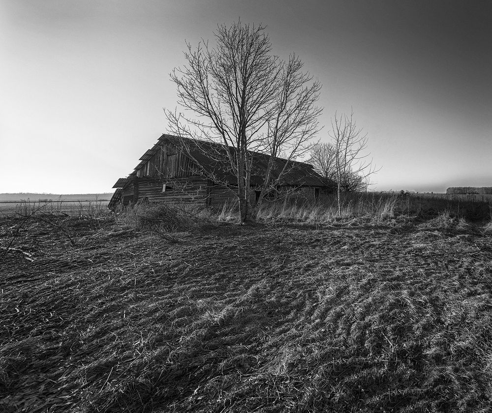 Фотография автора Eugenijus Rauduve