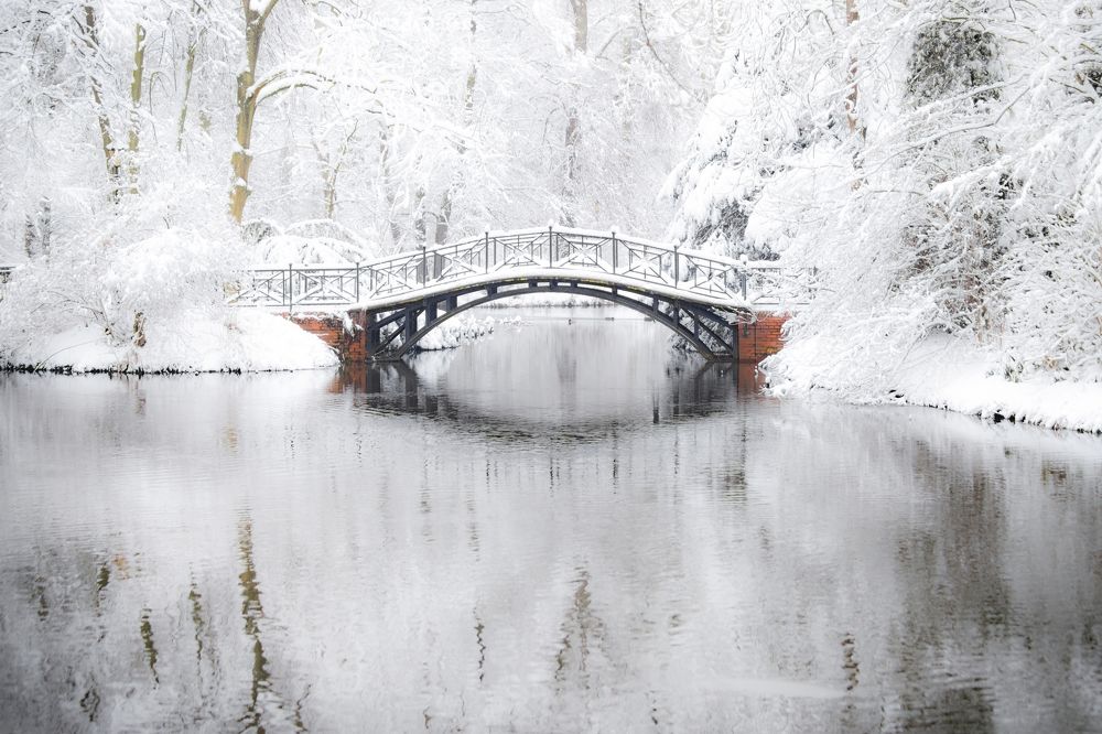 Photograph by Damian Cyfka