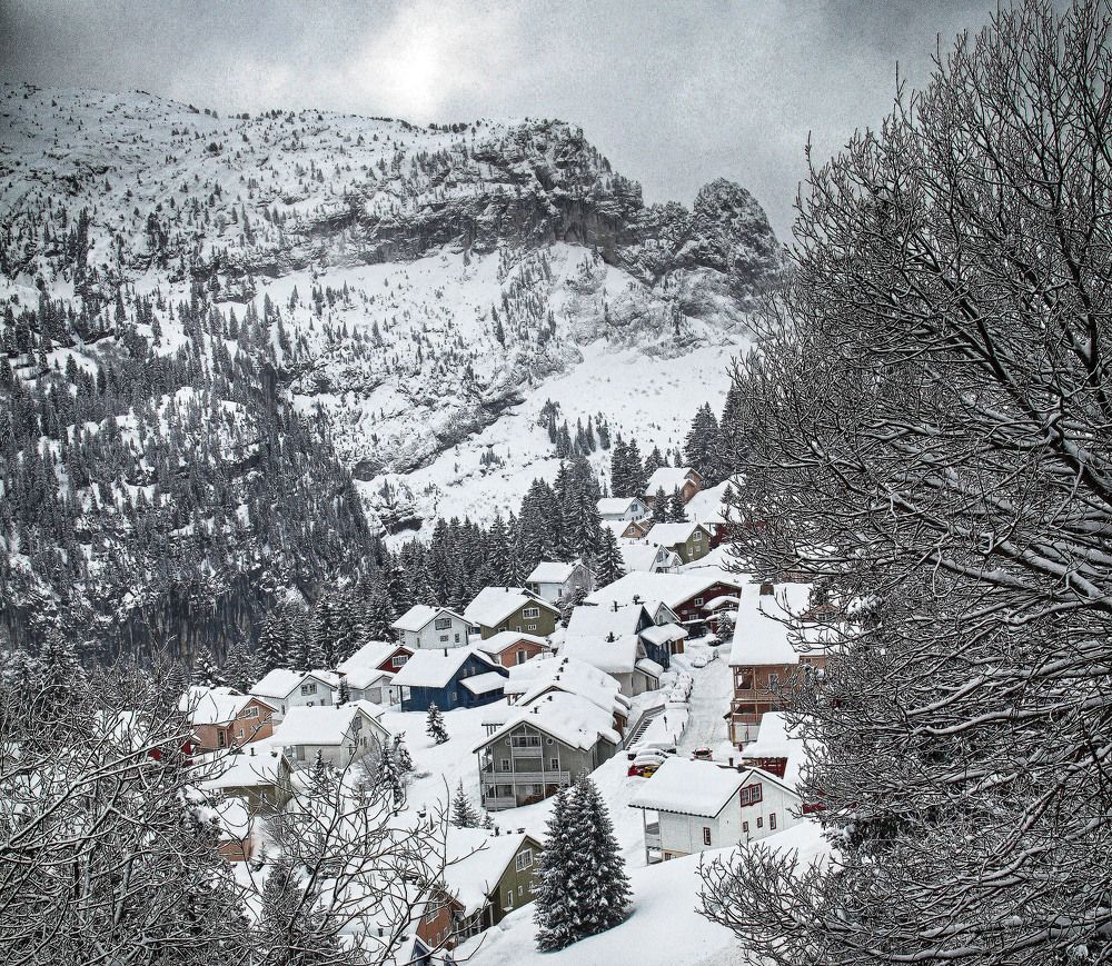 Photograph by Владимир Гречанинов