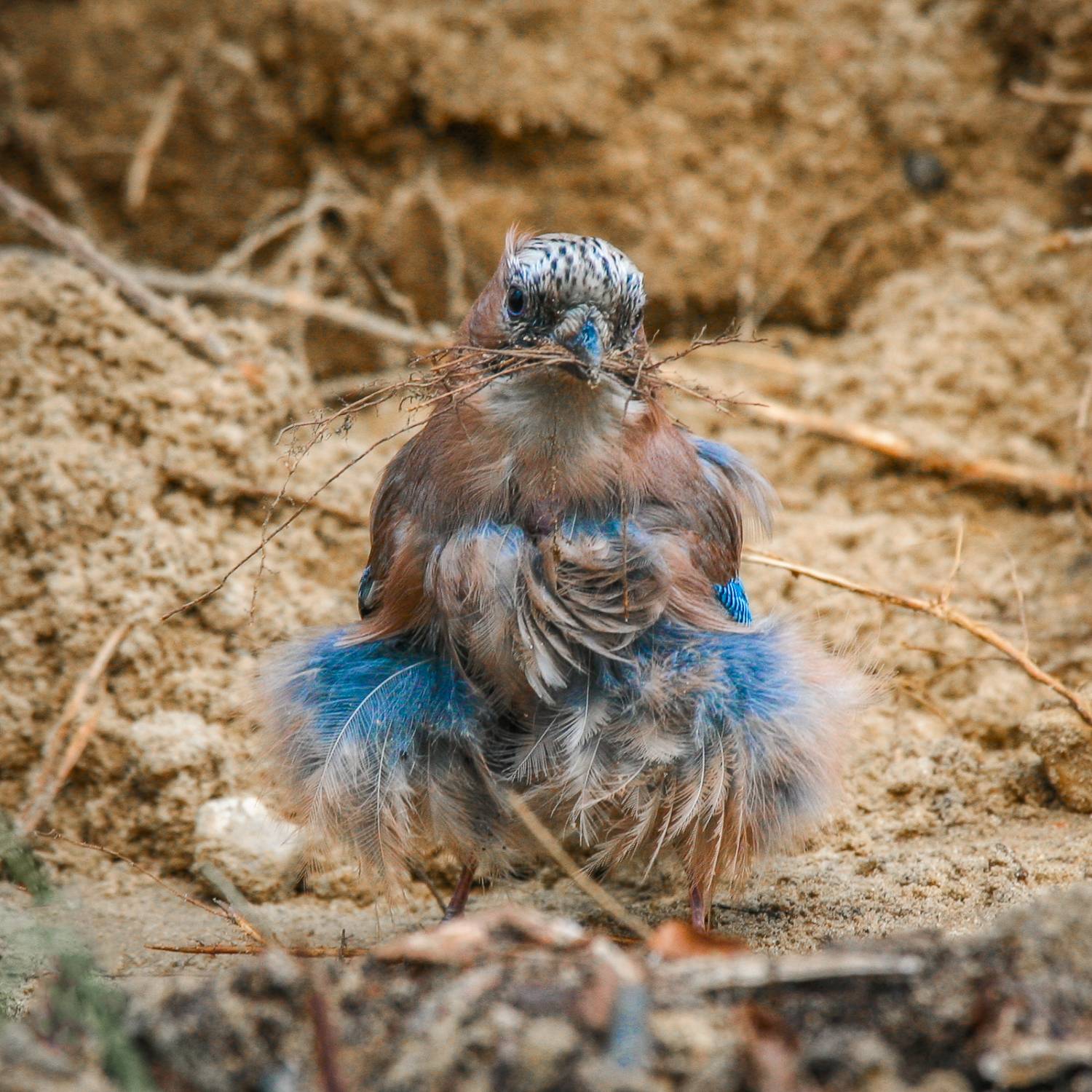 Фотография #10140556