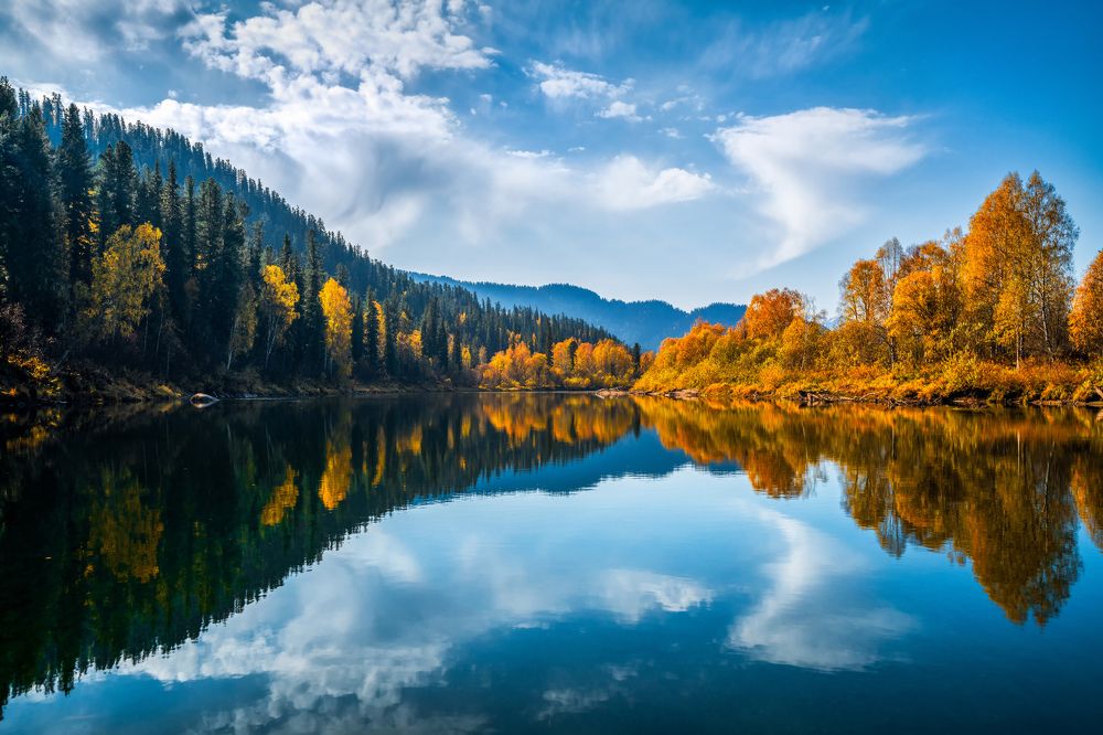 Золотая осень в тайге Западных Саян.