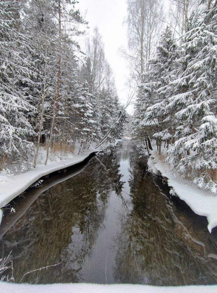 Photograph by Дмитрий Шарый