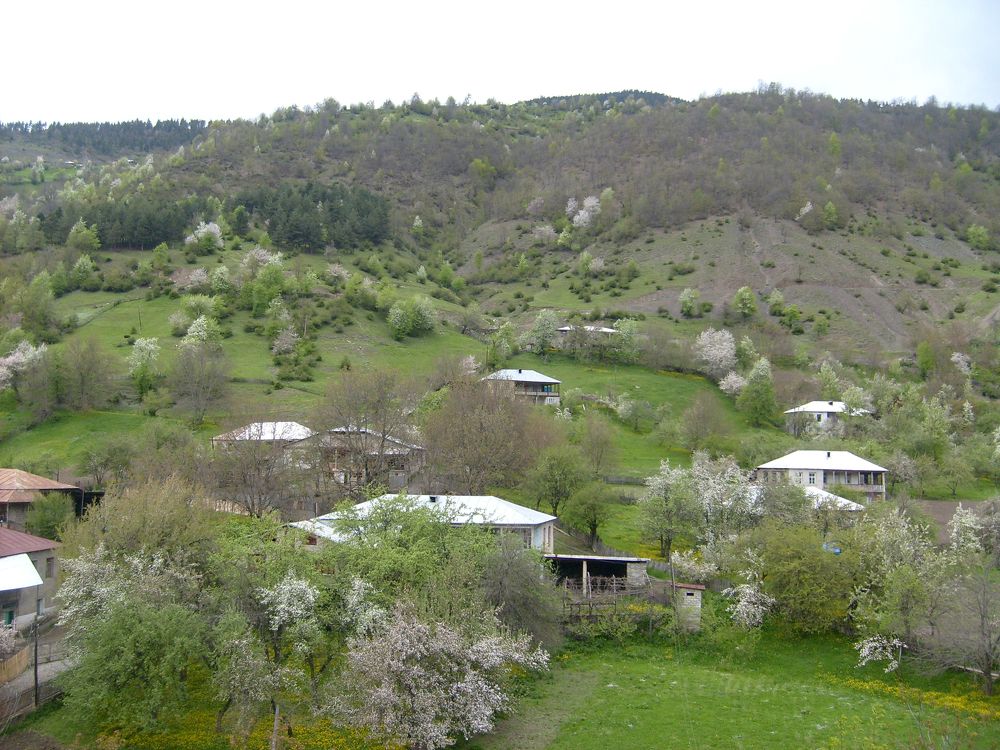 Photograph by Lasha Gegechkori