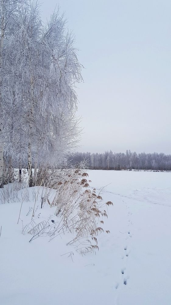 Photograph by Дарья Агапова