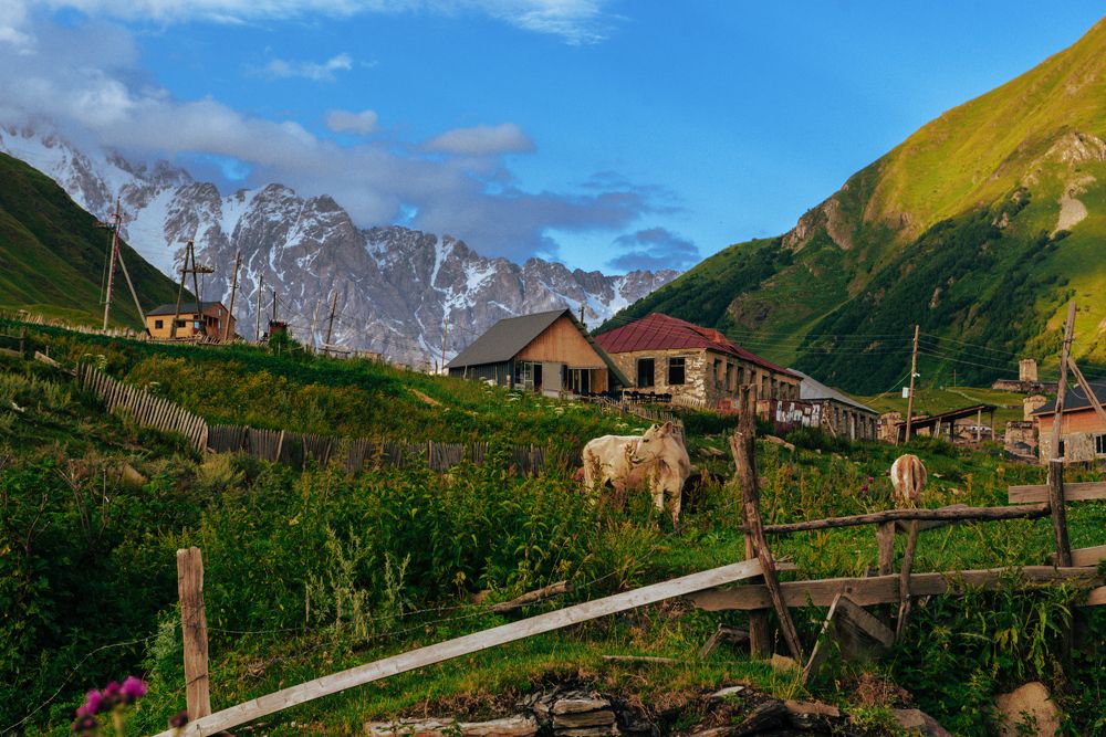 Photograph by Елена Скакун