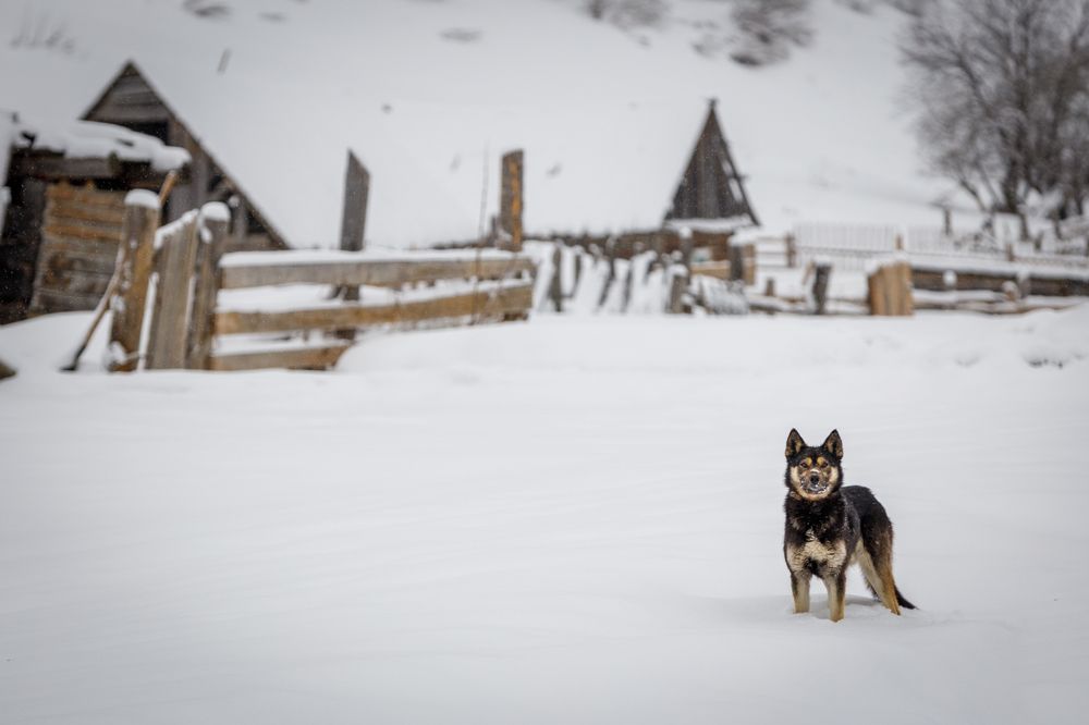 Photograph by Андрей Шабис