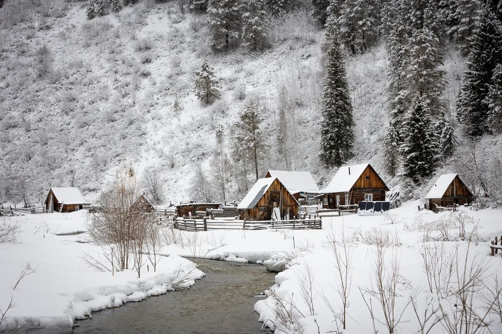 Photograph by Андрей Шабис