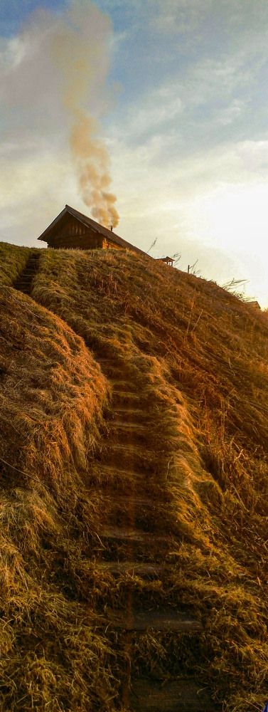 Photograph by Ольга Чибисова