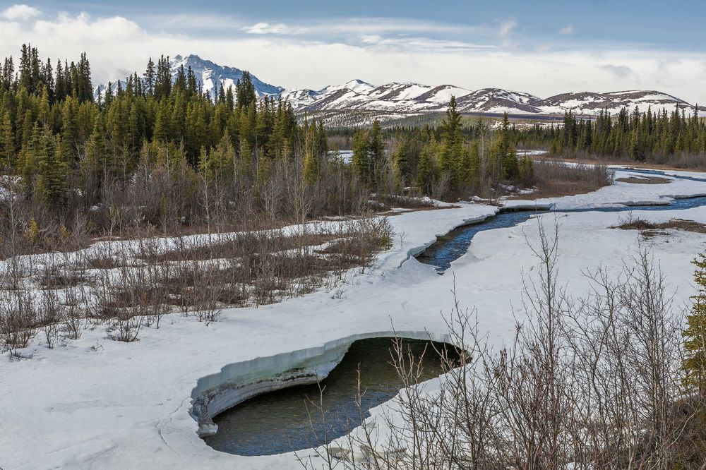 Фотография автора Анатолий