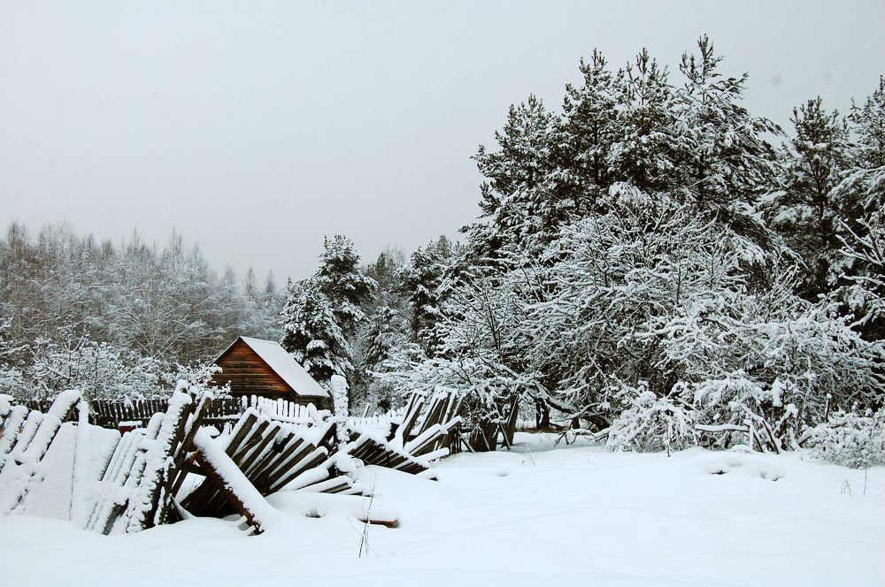 Photograph by Майя Синичкина