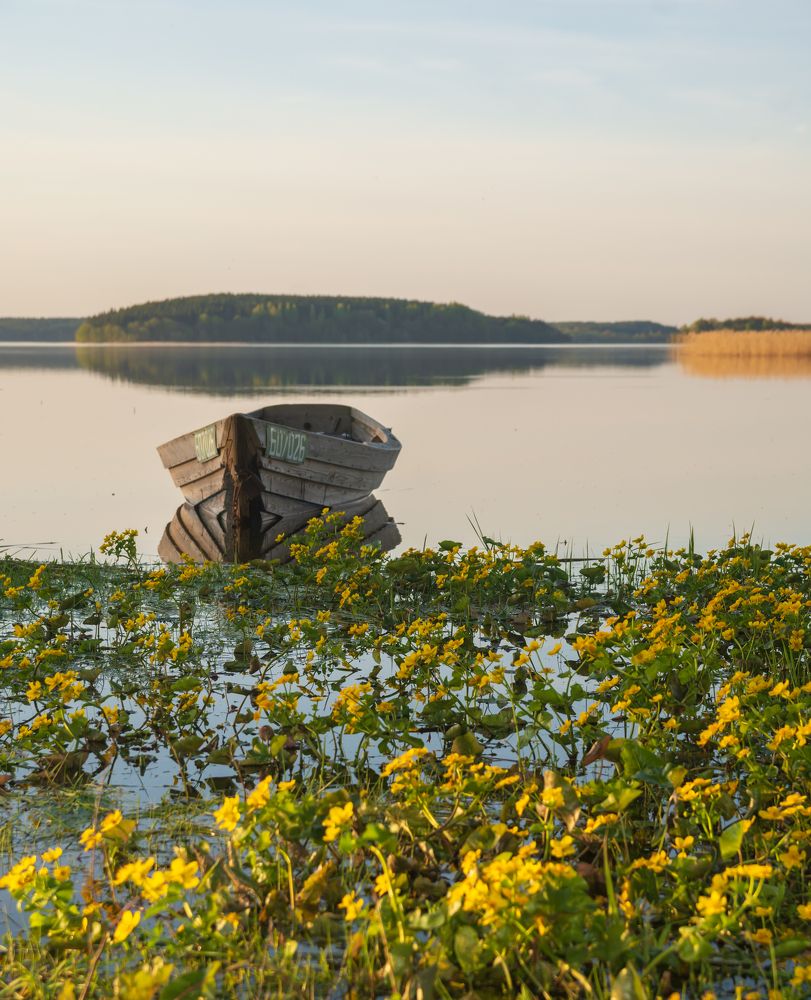 Photograph by Agita Leimane