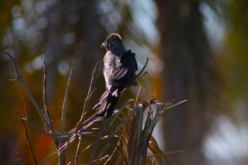 Photograph by sarah ghaz