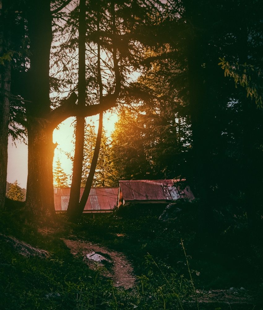 Photograph by Pawan Saini