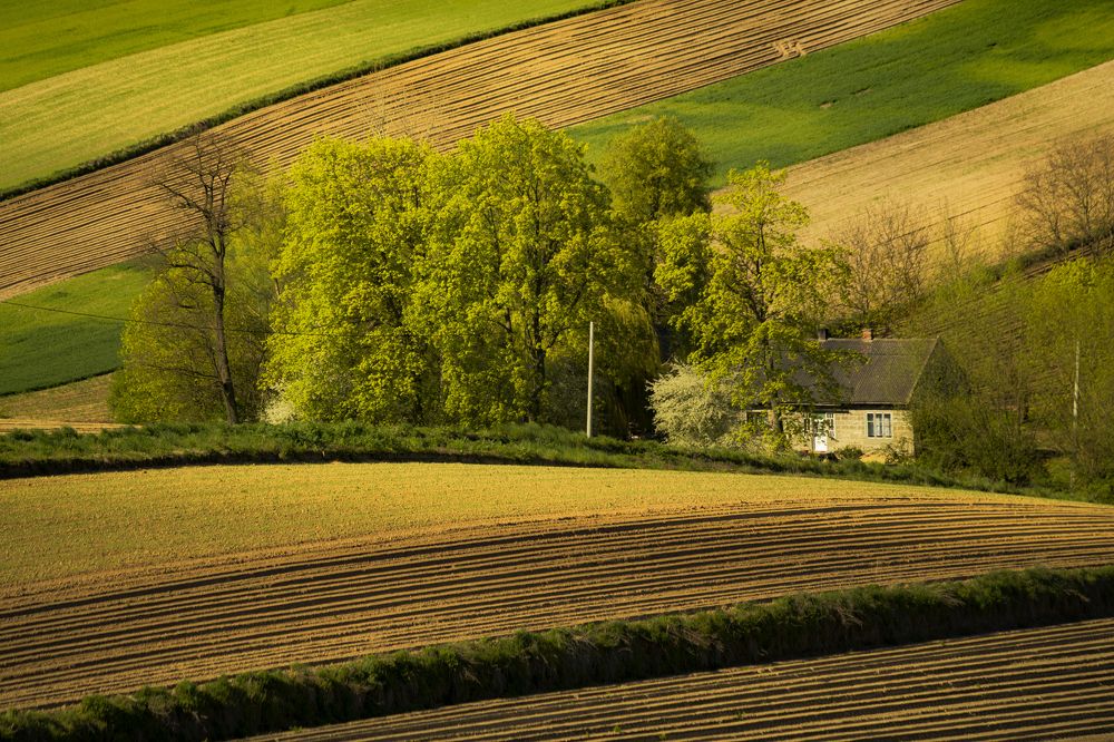 Photograph by Damian Cyfka