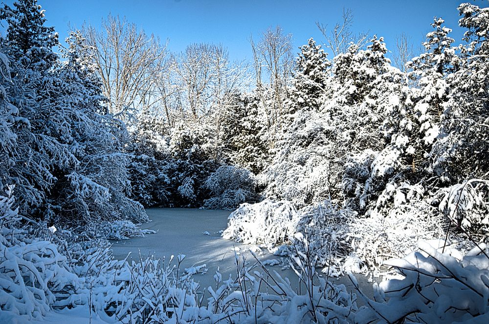 Photograph by Ken Oliver