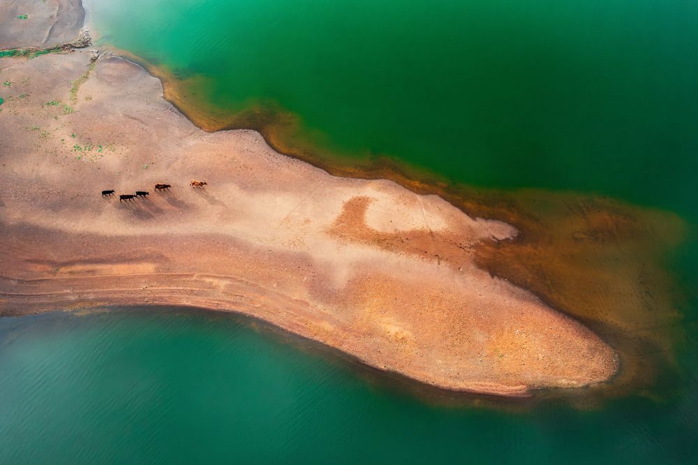 Photograph by Lien Vu