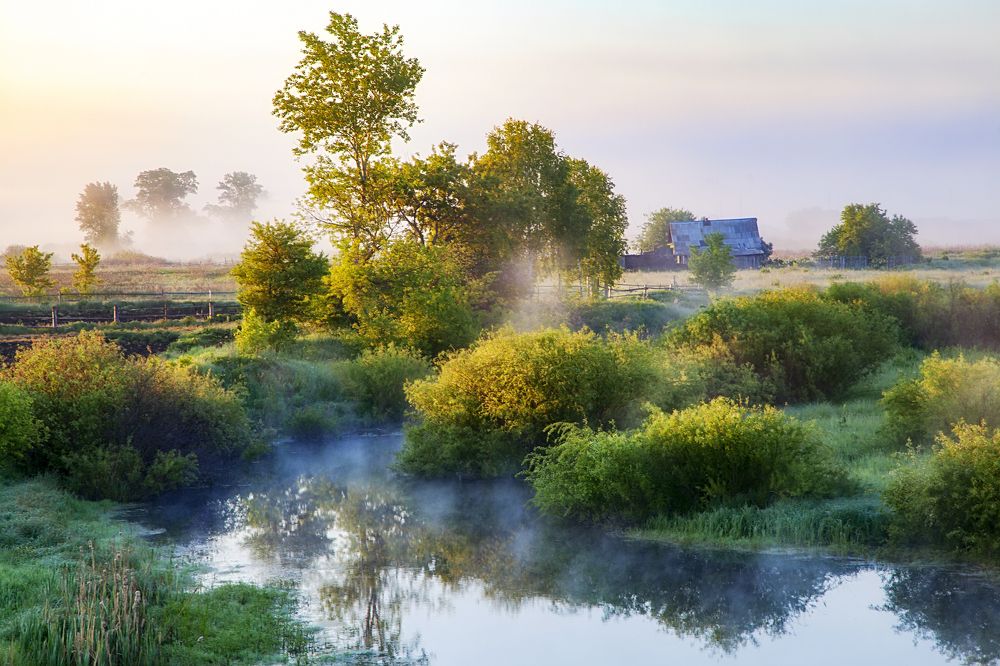 Photograph by Евдокимов Сергей