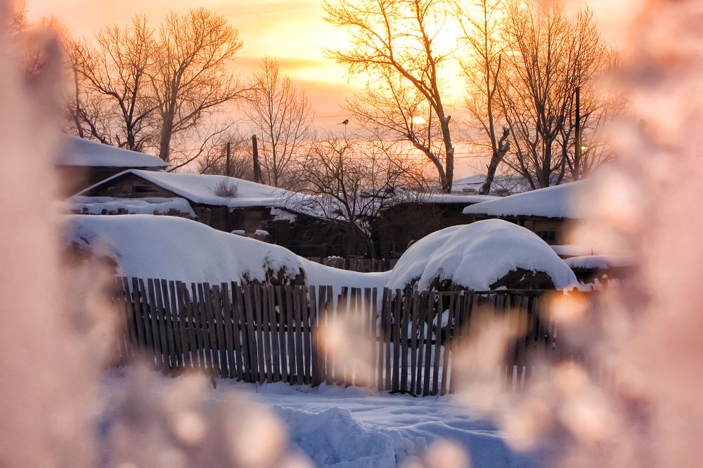 Photograph by Евдокимов Сергей