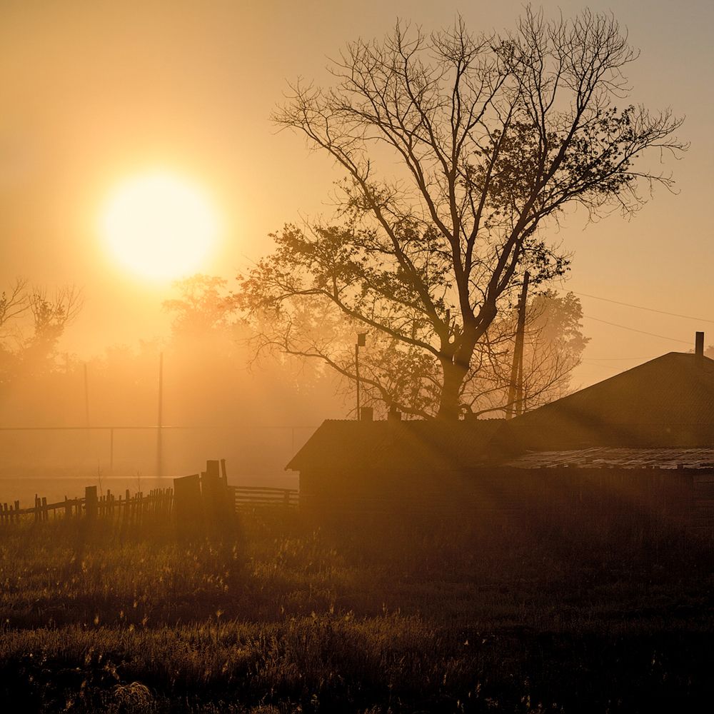 Photograph by Евдокимов Сергей