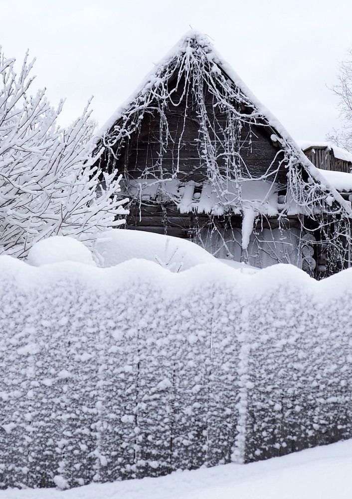 Photograph by Екатерина Шмелева