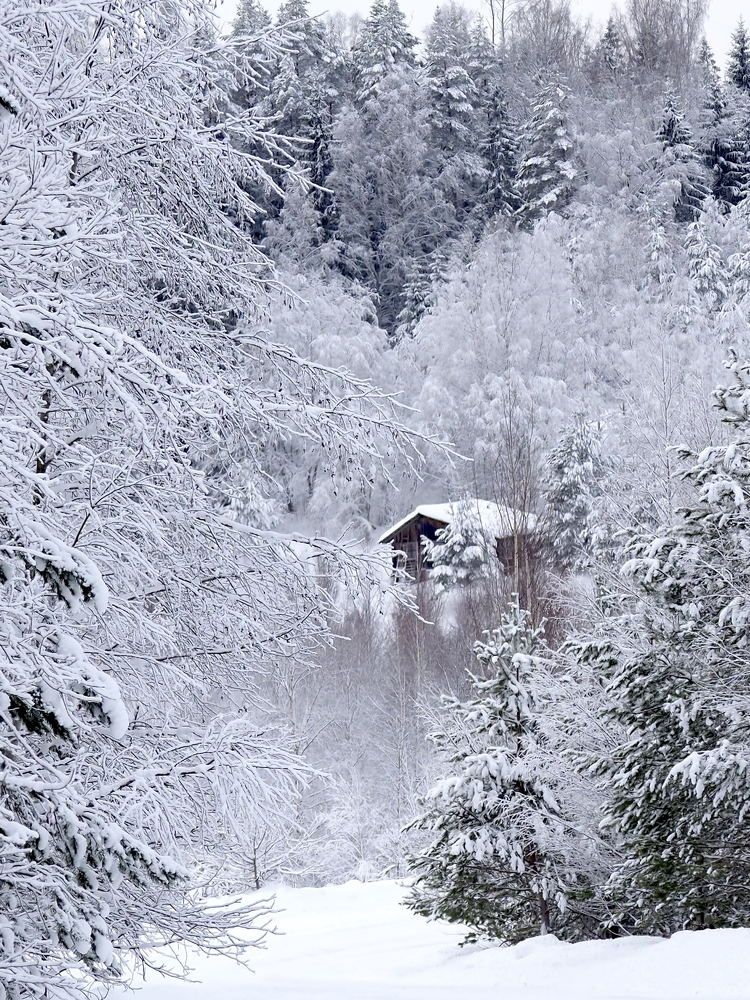 Photograph by Екатерина Шмелева