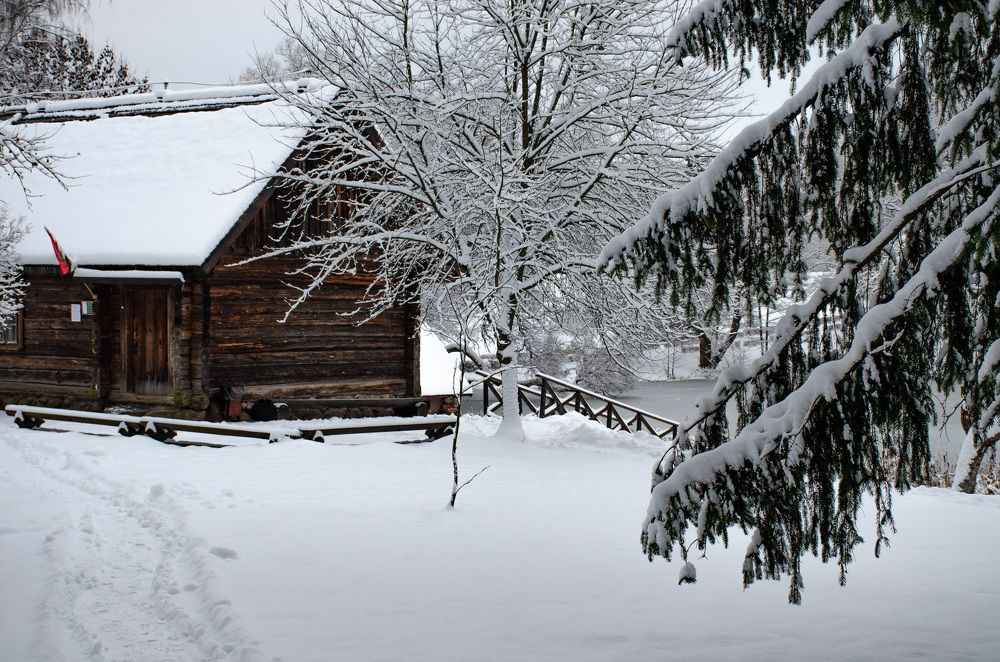 Photograph by Михаил Гурин