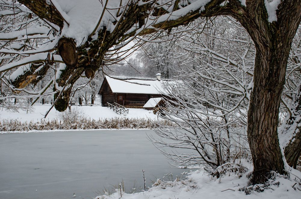 Photograph by Михаил Гурин