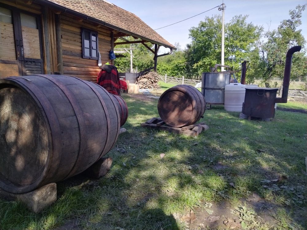 Фотография автора Danica Utjesinovic