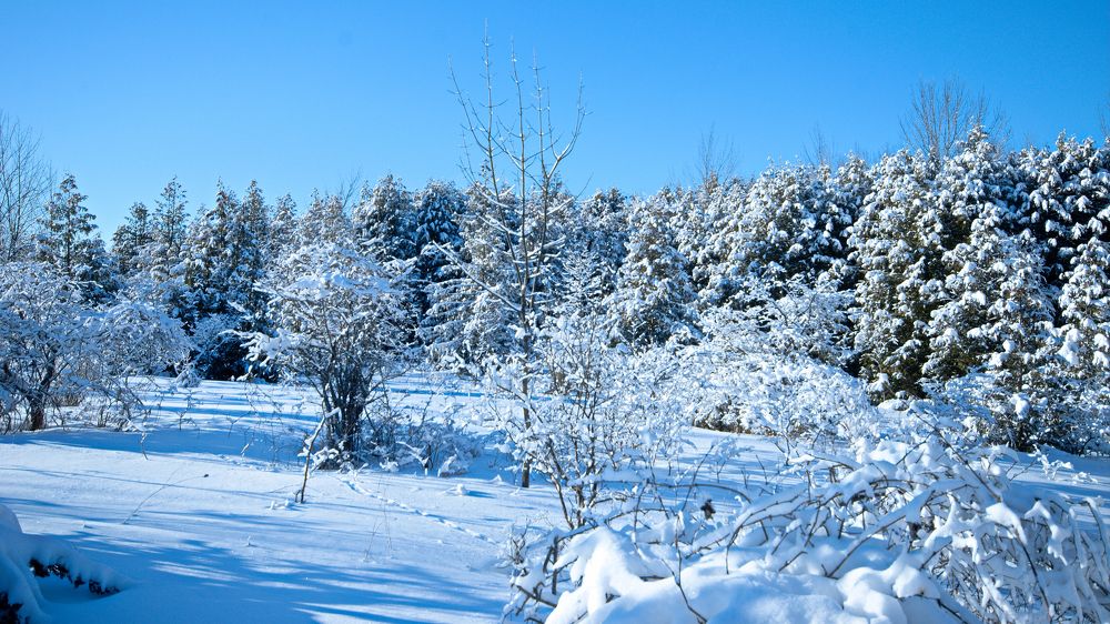 Photograph by Ken Oliver