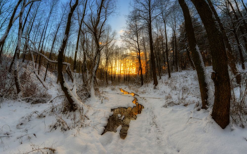 Photograph by Сергей Дишук