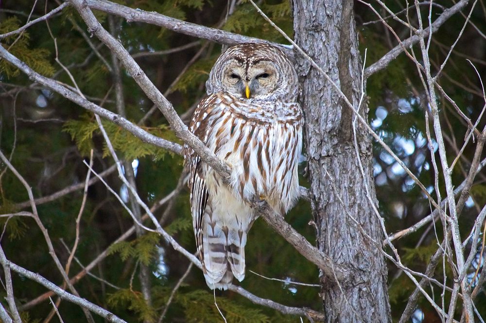 Photograph by Ken Oliver