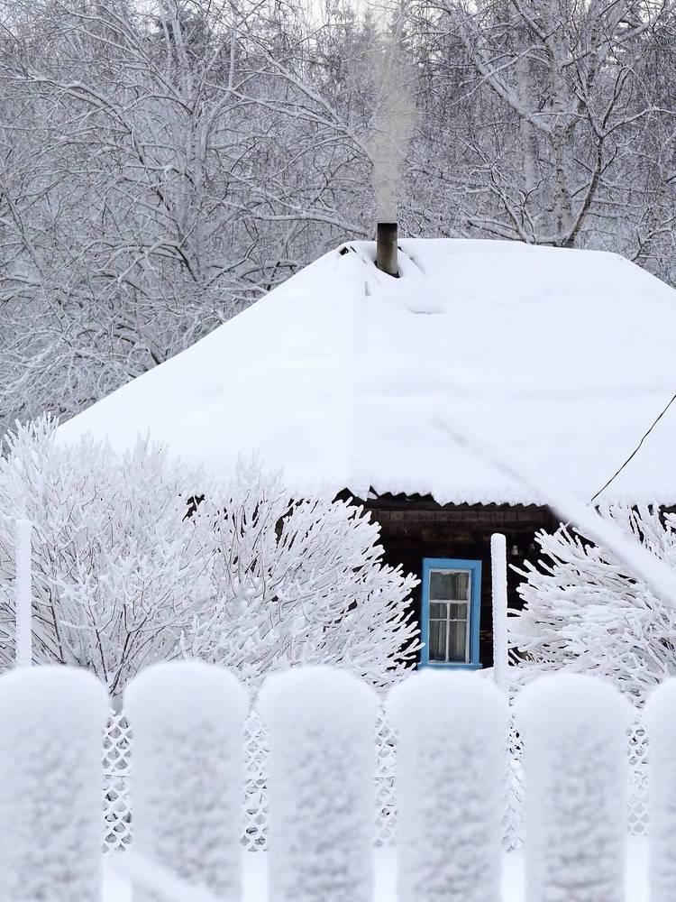 У зимы в лесу изба