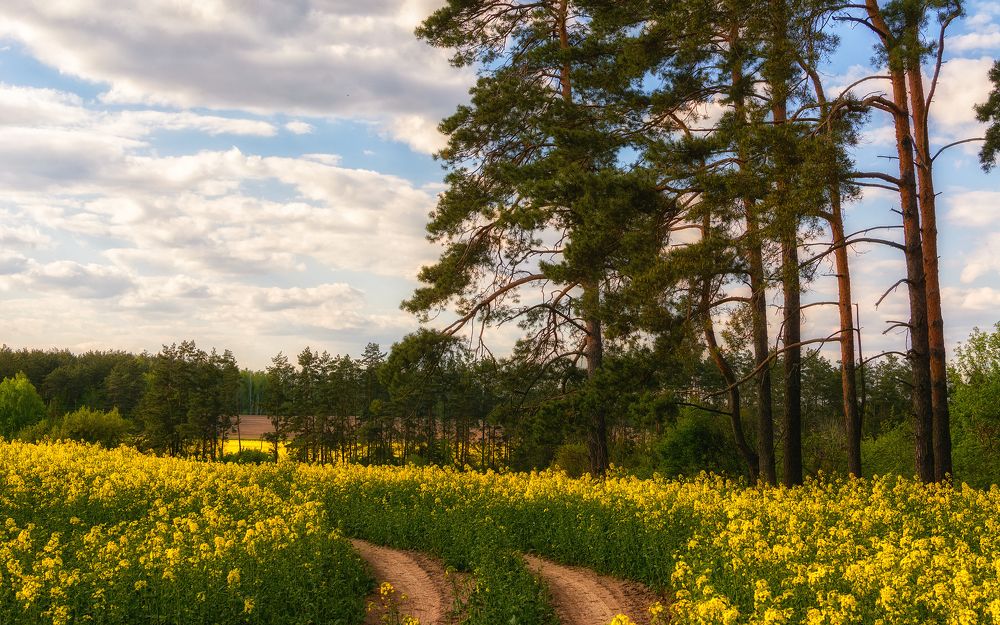 Photograph by Сергей Дишук