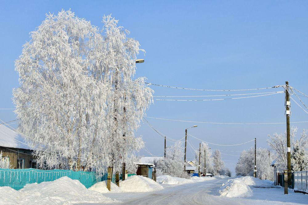 Photograph by Владимир Звягин