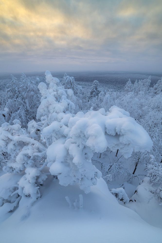 Photograph by Жданов Дмитрий